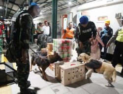 Cegah Barang Terlarang Selama Nataru, KAI Daop 7 Madiun Sisir KA Parcel dengan Anjing Pelacak