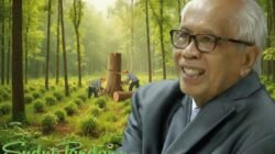 Duka Indonesia dari Hutan Gundul