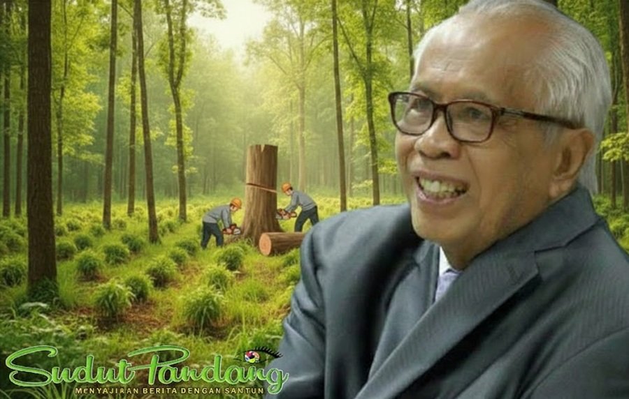Duka Indonesia dari Hutan Gundul
