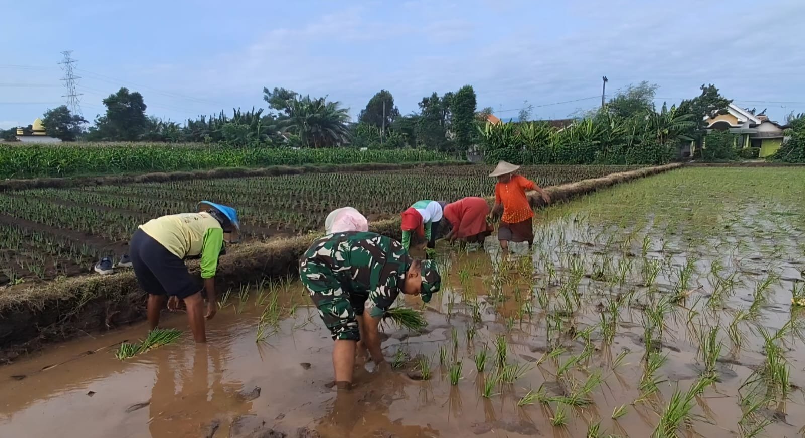 Kodim0820/Probolinggo