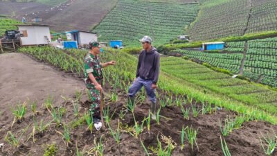 Dukung Ketahanan Pangan, Babinsa Komsos Bersama Warga