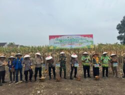 Panen Jagung Serentak Kuartal I 2026 bersama Kapolri, Kapolres Pasuruan Tegaskan Komitmen Ketahanan Pangan