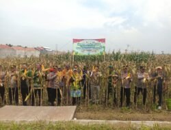 Kodim 0820/Probolinggo Melalui Koramil Jajaran Mengikuti Zoom Meeting Panen Raya Jagung Serentak Kuartal I Tahun 2026