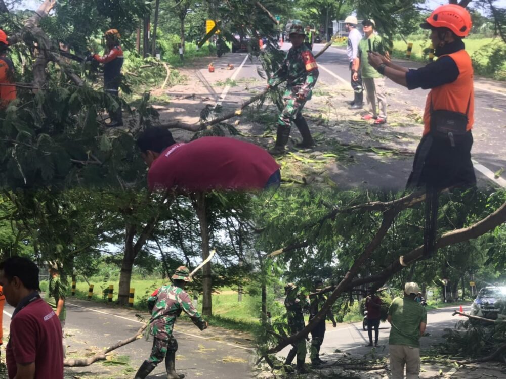 Sigap, Babinsa Bersama Tim Gabungan Atasi Pohon Tumbang Akibat Angin Kencang