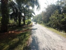 Warga Minta Jalan ke Puskesmas Cot Seumereung Segera Diaspal