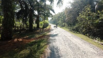 jalan menuju Puskesmas Cot Seumereung