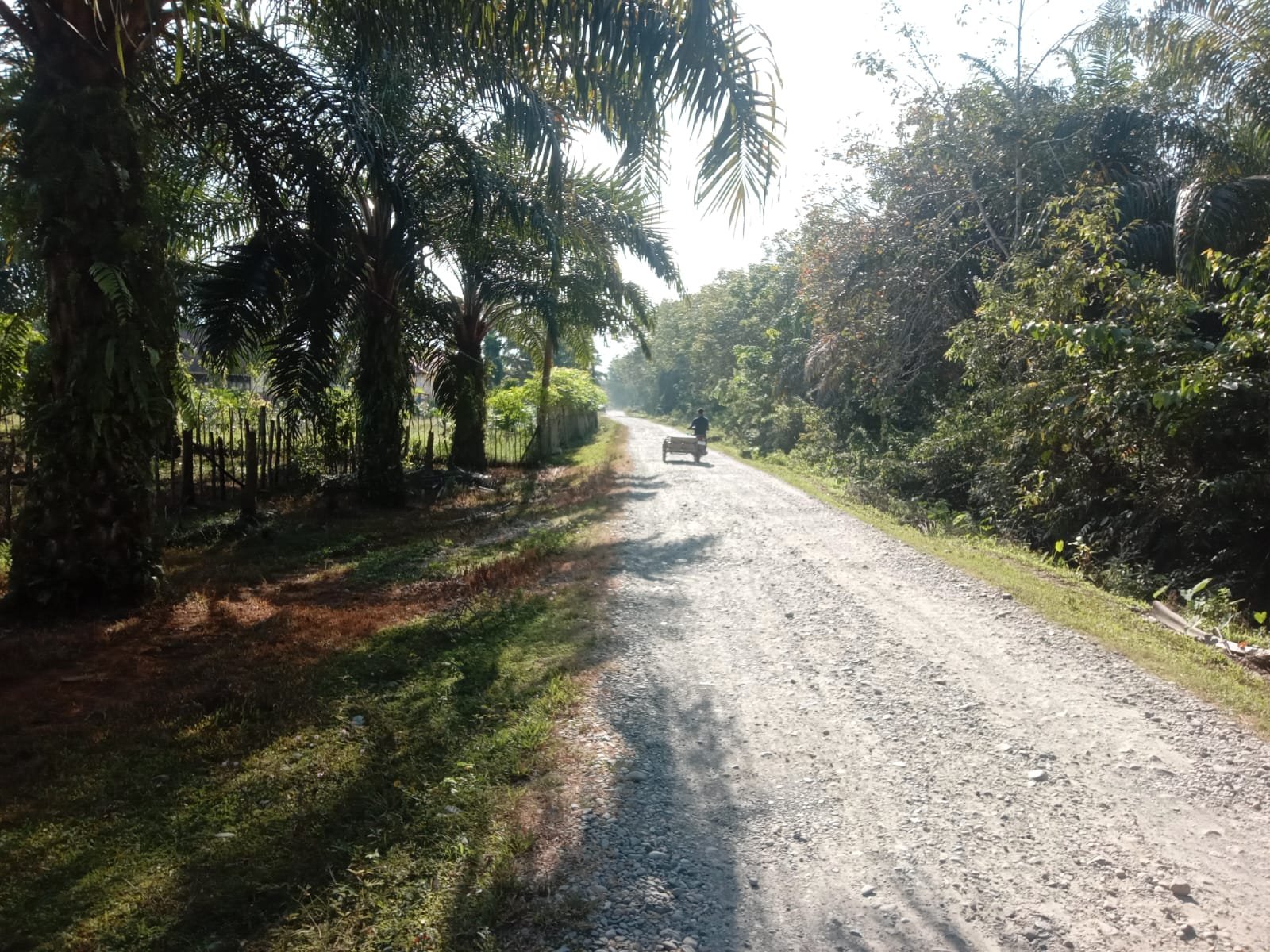 jalan menuju Puskesmas Cot Seumereung