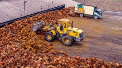 PTPN IV PalmCo Catat 23,3 Juta Jam Kerja Aman Tanpa Kecelakaan Fatal