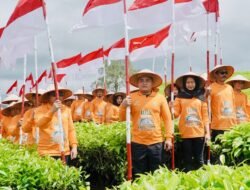 Menatap Abad Kedua Teh Kayu Aro