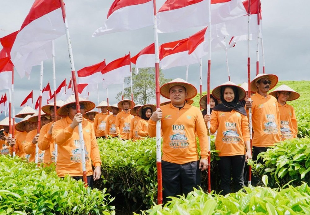 Menatap Abad Kedua Teh Kayu Aro,