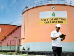 Serap Pasar Domestik, CPO PTPN IV PalmCo Tetap Sasar 100 Persen RSPO dan ISPO 