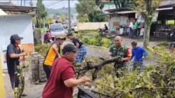 Cegah Risiko Pohon Tumbang, Babinsa Pecalukan Turun Langsung Bersama Warga