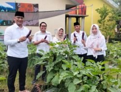 Panen Kebun Pangan SMP Negeri 4 Pasuruan, Wujudkan Sekolah Sehat dan Berkarakter