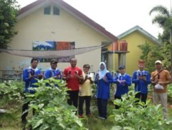 Komite SMP Negeri 4 Pasuruan Gelar Panen Kebun Pangan, Wujudkan Ketahanan Pangan
