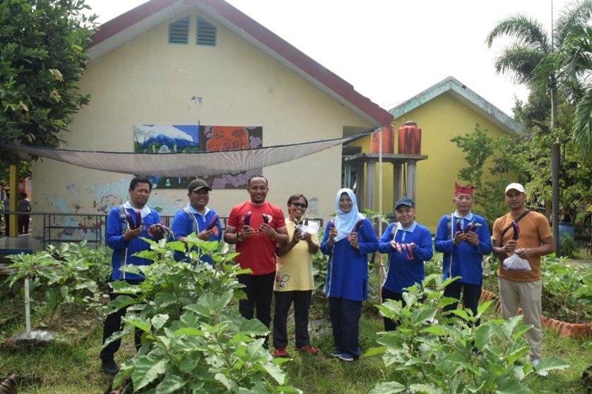 kegiatan panen kebun pangan sekolah
