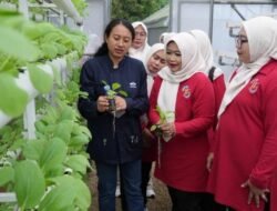 TP PKK Jakarta Timur Perkuat Program Ketahanan Pangan di Ewindo Panah Merah Purwakarta