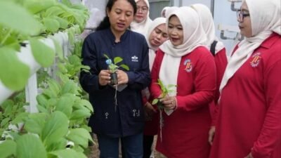 TP PKK Jakarta Timur Perkuat Program Ketahanan Pangan di Ewindo Panah Merah Purwakarta
