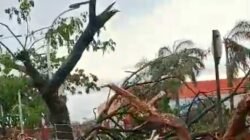 Pakansari Bogor Diterjang Angin Kencang, Pohon Tumbang dan Atap Stadion Terbang