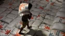 Bulog Pastikan Stok Beras Aman Jelang Imlek, Nyepi, hingga Ramadan 2026