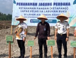 Wakil Bupati Asahan Tanam Jagung Perdana di Lapas Labuhan Ruku