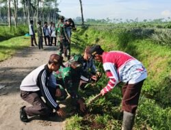TMMD ke-127, Kodim 0809/Kediri Laksanakan Penghijauan di Cagar Alam Simpenan
