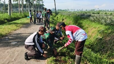 TMMD ke-127, Kodim 0809/Kediri Laksanakan Penghijauan di Cagar Alam Simpenan