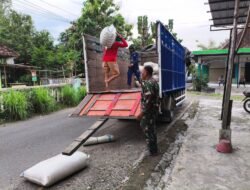 Babinsa Sumbermulyo Dampingi Sergap Gabah, Dukung Ketahanan Pangan Nasional