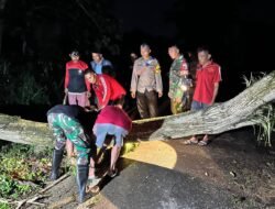 TNI-Polri Sigap Evakuasi Pohon Tumbang Akibat Cuaca Ekstrem di Trenggalek