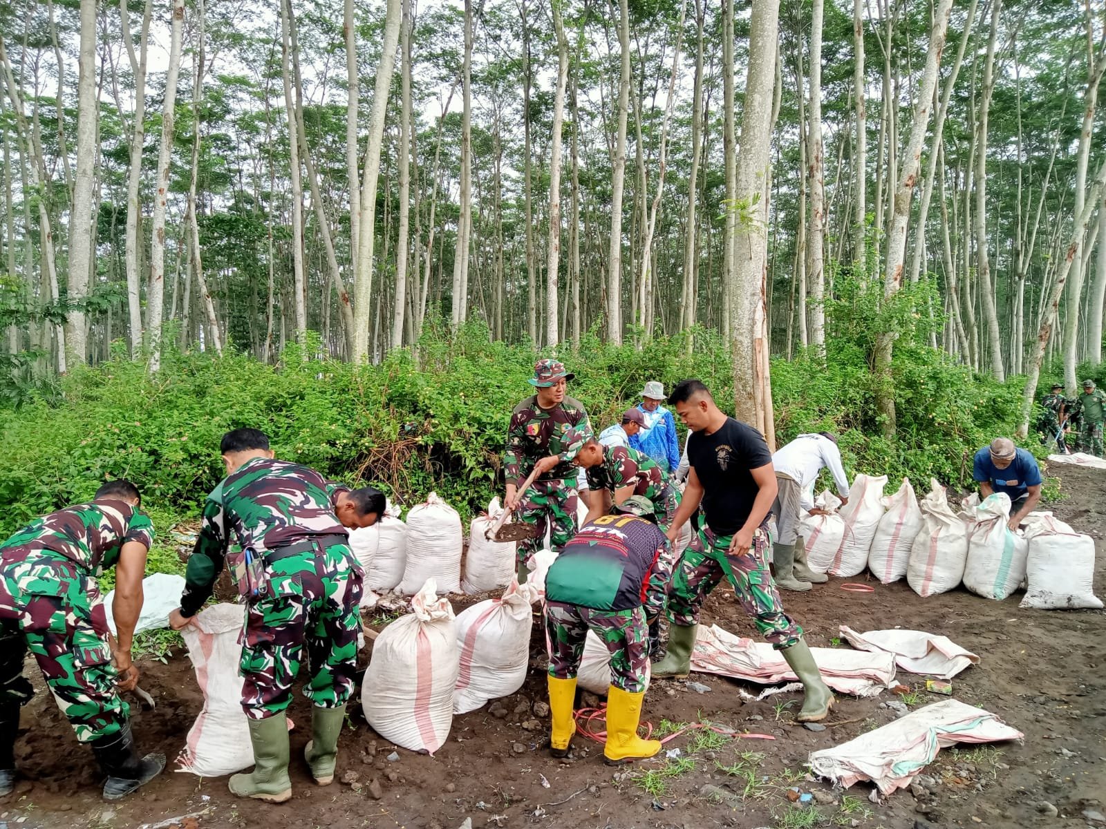 Satgas TMMD Kodim Kediri Gencarkan Tanam Seribu Bibit Pohon di Desa Gadungan