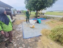 Babinsa melaksanakan kegiatan komunikasi sosial (komsos) dengan para petani di wilayah desa binaan