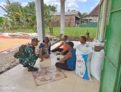 Babinsa Selalu aktif dalam. Melaksanakan komsos dengan kelompok tani Di desa binaan