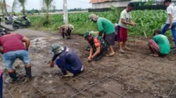 Komsos, Koramil Leces Kerja Bakti Memperbaiki Jalan Desa