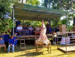 Babinsa Monitoring Perayaan Festival Tradisi Sapi Berik dan Timbang Sapi