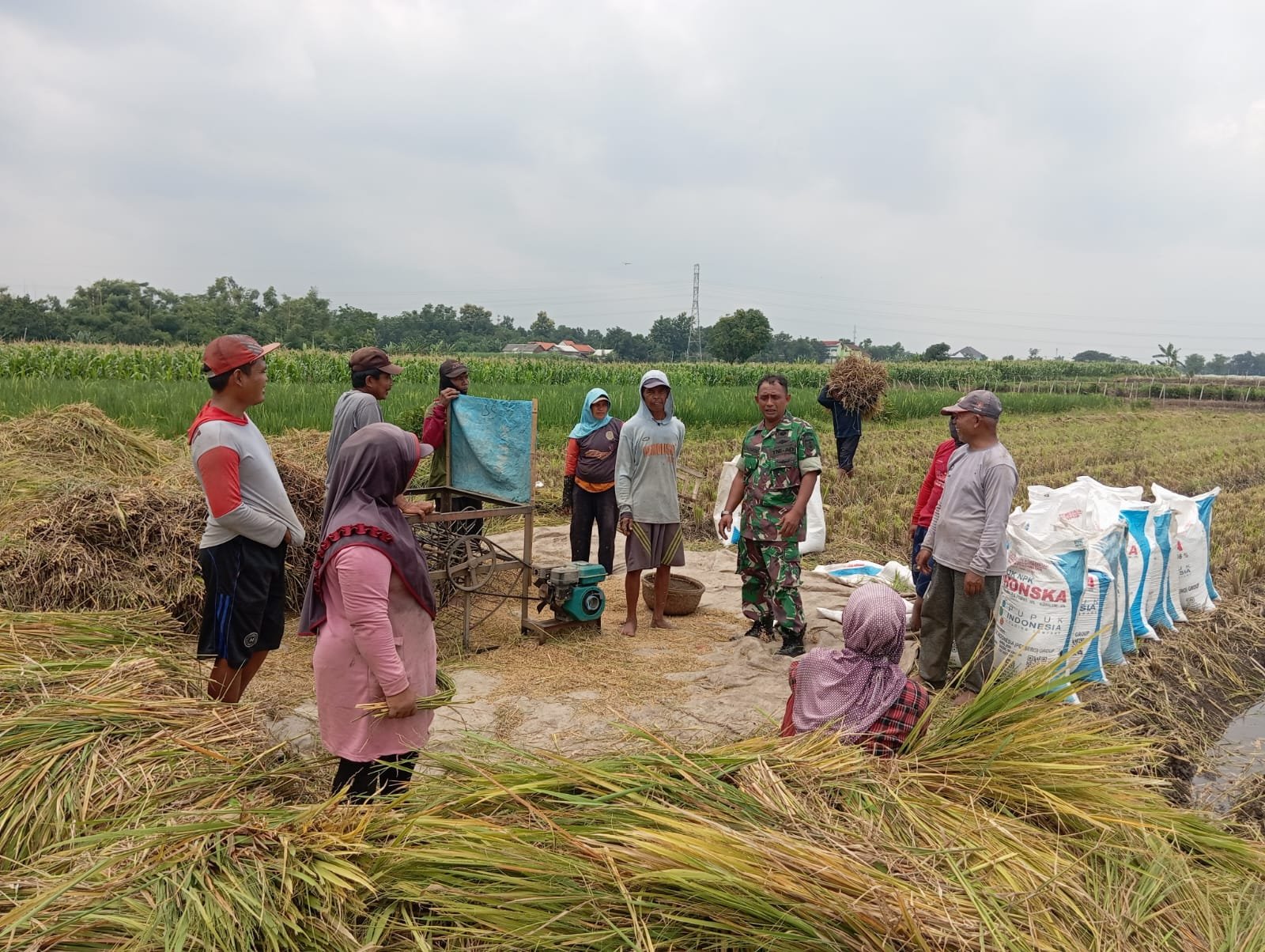 Gerakan Antisipasi Darurat Pangan Nasional