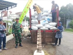 Babinsa Wonocoyo Dampingi Penyerapan 5,6 Ton Gabah Petani ke Bulog Trenggalek