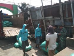 Koramil 0814-07/Kabuh Laksanakan Sergap Gabah di Desa Kedungjati