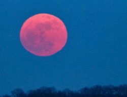 Pink Moon Akan Hiasi Langit 1 April 2026, Ini Makna di Balik Namanya