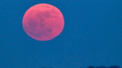 Pink Moon Akan Hiasi Langit 1 April 2026, Ini Makna di Balik Namanya
