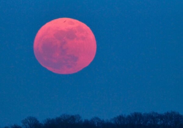 Pink Moon Akan Hiasi Langit 1 April 2026, Ini Makna di Balik Namanya