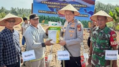 Polres Kaur Gelar Penanaman Jagung Serentak Dukung Ketahanan Pangan Nasional