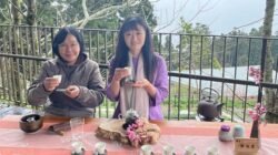 Saat Penat Tersapu Kabut Pegunungan Alishan dan Hangatnya Teh Oolong Taiwan