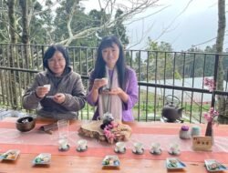 Saat Penat Tersapu Kabut Pegunungan Alishan dan Hangatnya Teh Oolong Taiwan