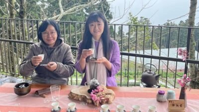 Saat Penat Tersapu Kabut Pegunungan Alishan dan Hangatnya Teh Oolong Taiwan