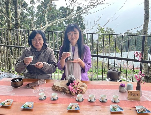 Saat Penat Tersapu Kabut Pegunungan Alishan dan Hangatnya Teh Oolong Taiwan