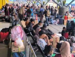 Pelabuhan Tanjung Priok Sukses Layani Arus Mudik Penumpang Kapal Laut 2026