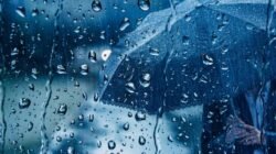 Hujan Deras Picu Banjir di Jakarta, Sejumlah Pintu Air Berstatus Siaga