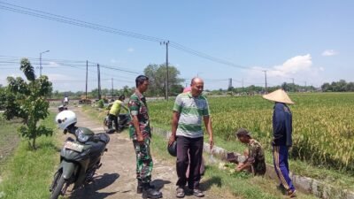 Koramil 0814 11/Sumobito