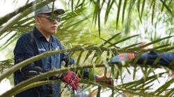 Hadapi Ancaman Kemarau, PTPN IV PalmCo Perkuat Deteksi Dini Karhutla dan Strategi Agronomi