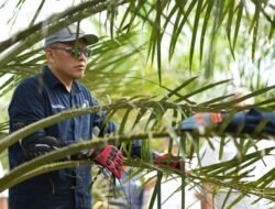 Hadapi Ancaman Kemarau, PTPN IV PalmCo Perkuat Deteksi Dini Karhutla dan Strategi Agronomi