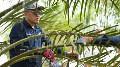 Hadapi Ancaman Kemarau, PTPN IV PalmCo Perkuat Deteksi Dini Karhutla dan Strategi Agronomi